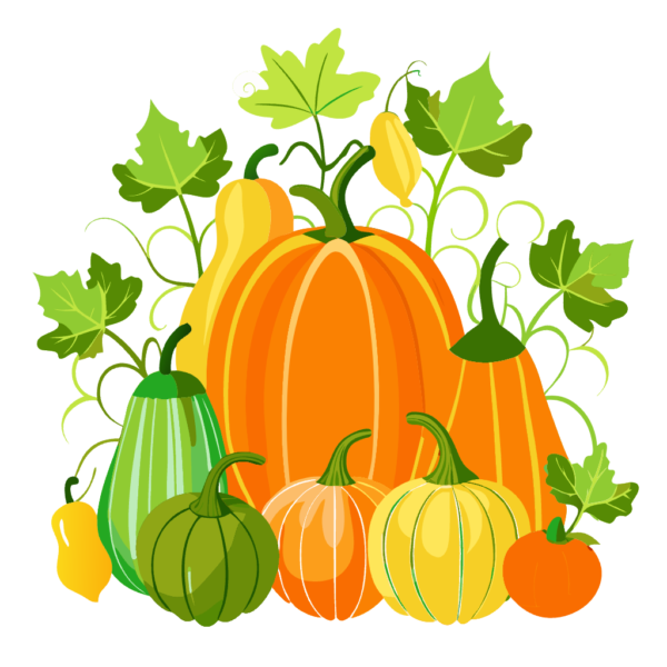 Assorted Pumpkins Clipart