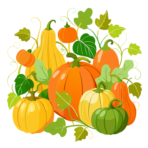 Assorted Pumpkins clipart