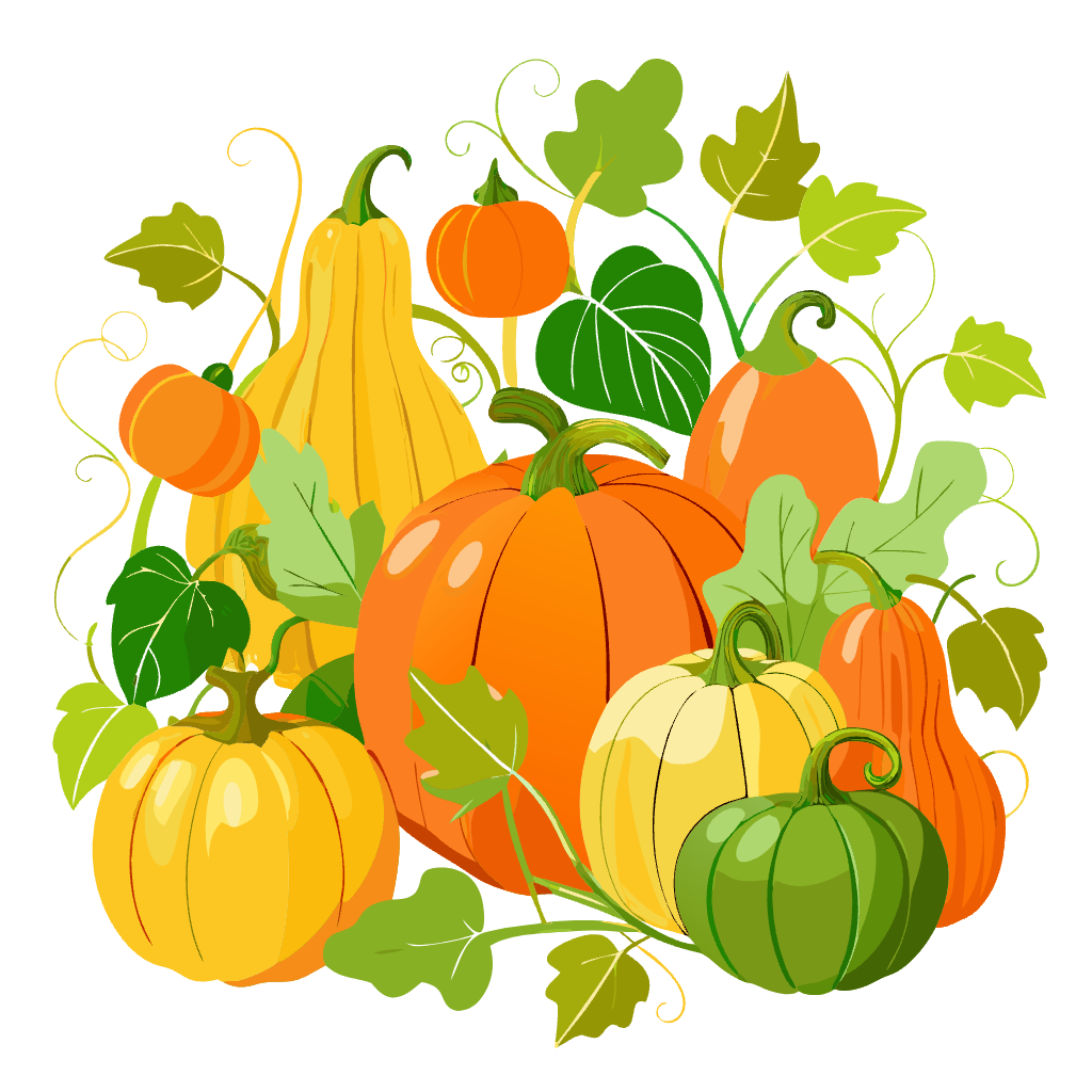 Assorted Pumpkins - clipart