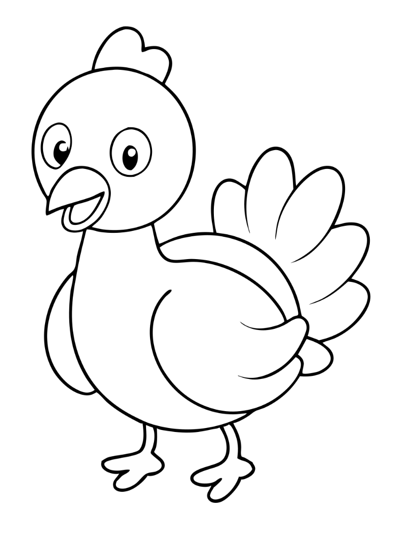 Baby turkey - Black and White