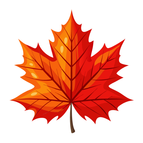 Maple Leaf - Clipart - Outline 01