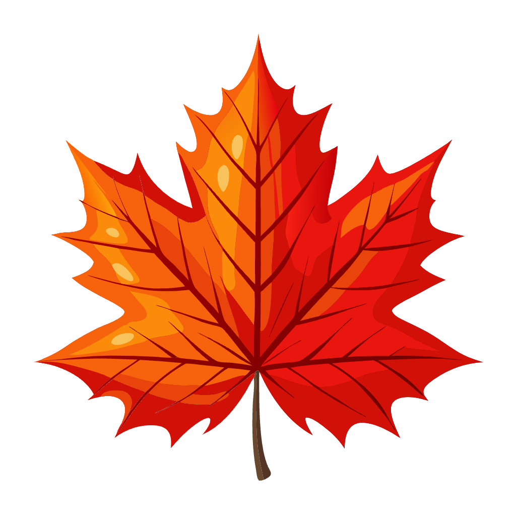 Maple Leaf - Clipart - Outline 01 Maple Leaf - Clipart - Outline 01