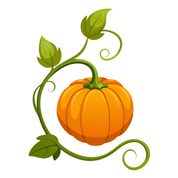 Pumpkin Vine Clipart