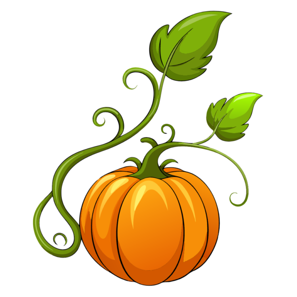 Thanksgiving Pumpkin Vines Clipart