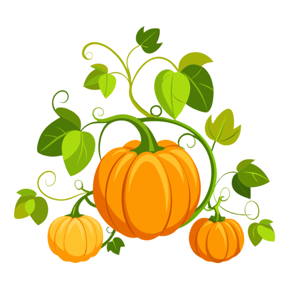 Autumn Pumpkins Vines Clipart