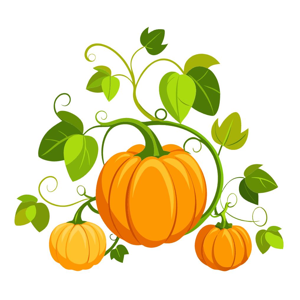 Pumpkins Vines Clipart 01