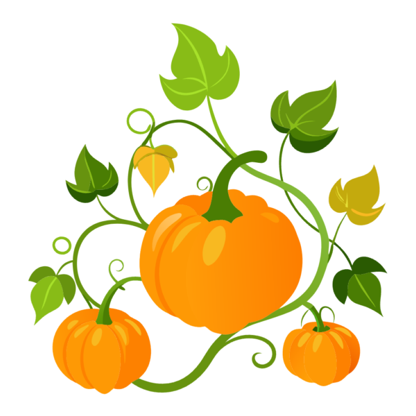 Thanksgiving Pumpkins Vines Clipart