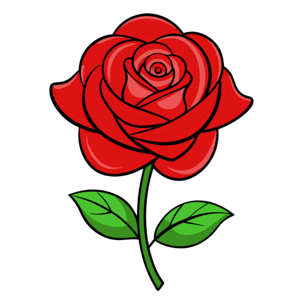 Red Rose with Transparent Background