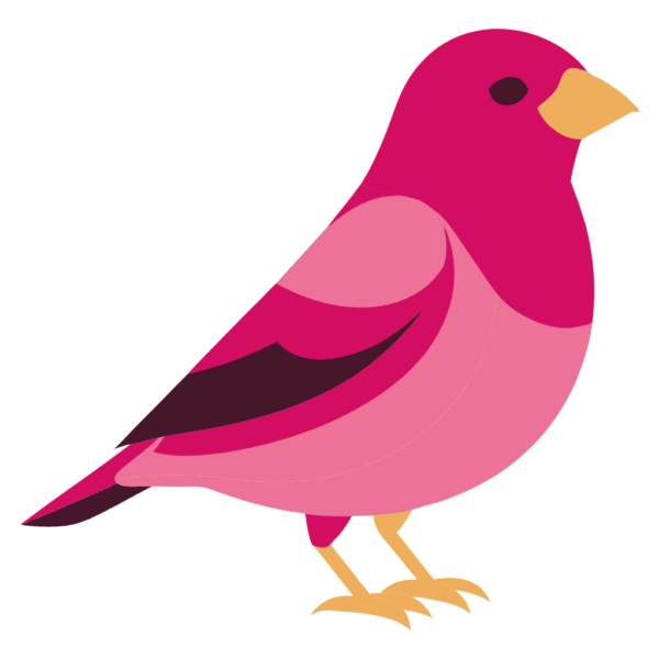 Rosy Finch Winter Bird Clipart