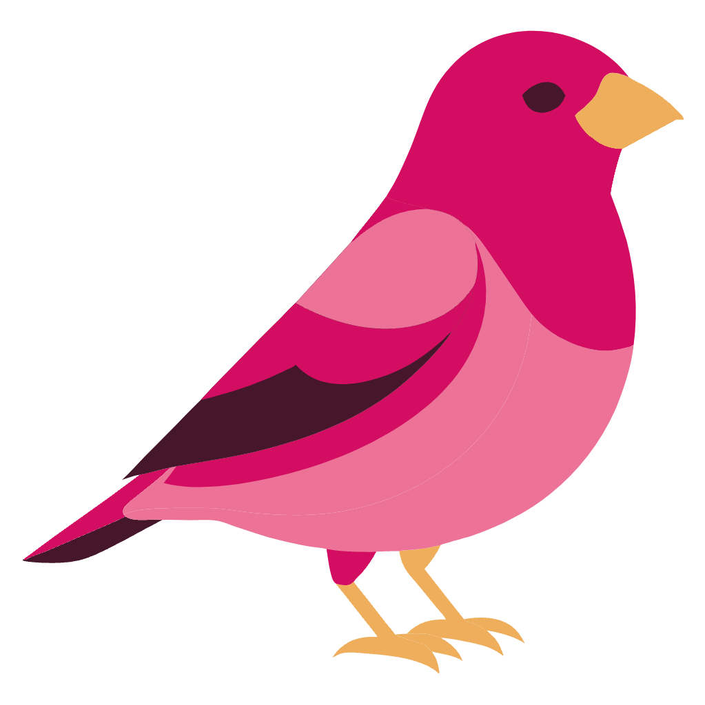 Rosy Finch Winter Bird Clipart