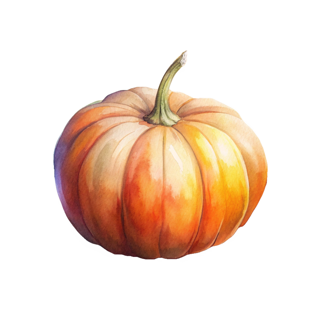 WaterColor - Pumpkin - Clipart - Simple