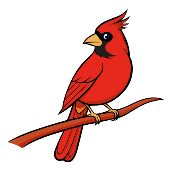 Cardinal Bird Sitting on the Branch