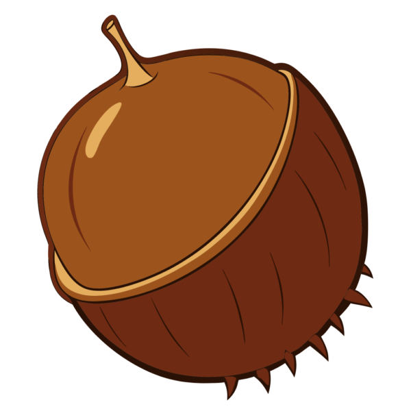 Chestnut Clipart