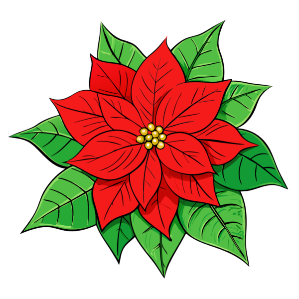 Christmas Poinsettia Clipart