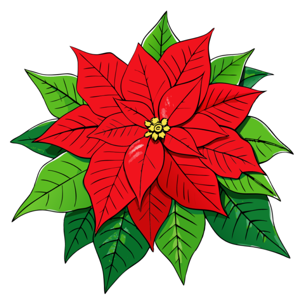 Poinsettia Clipart