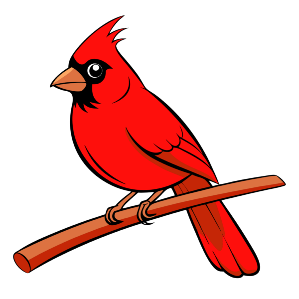 Winter Bird Cardinal Clipart