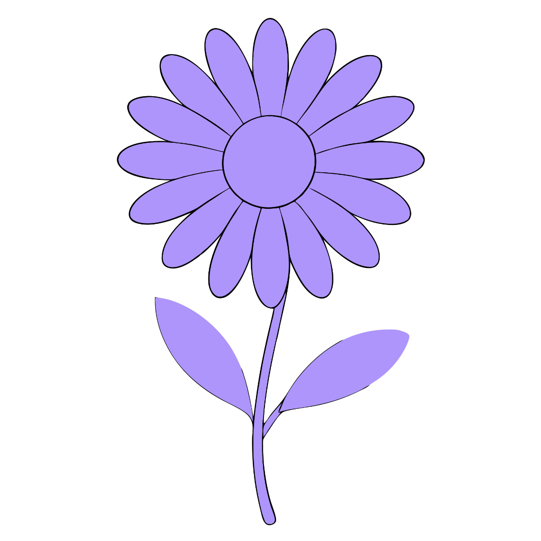 Daisy Flower Png