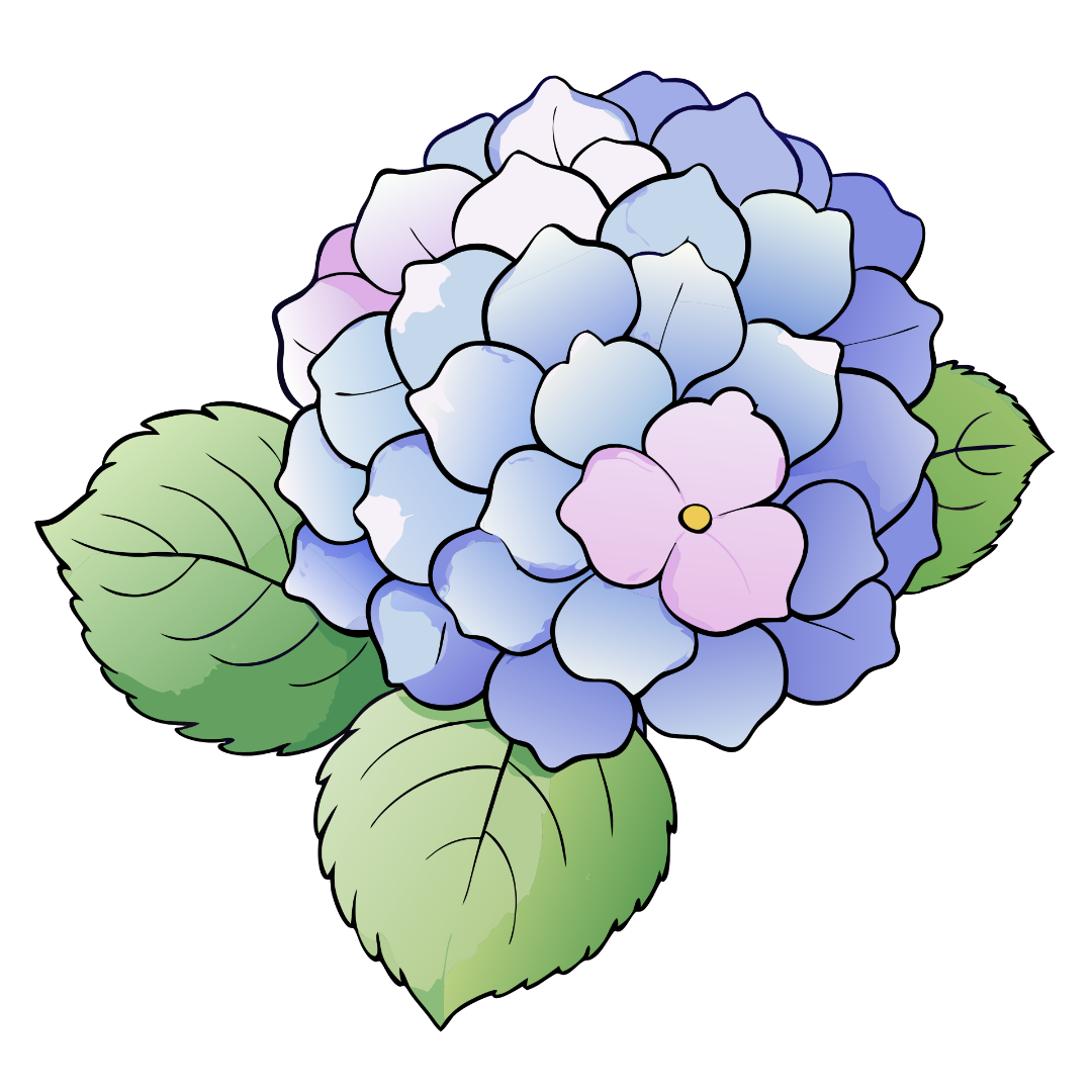Flower Hydrangea Clipart