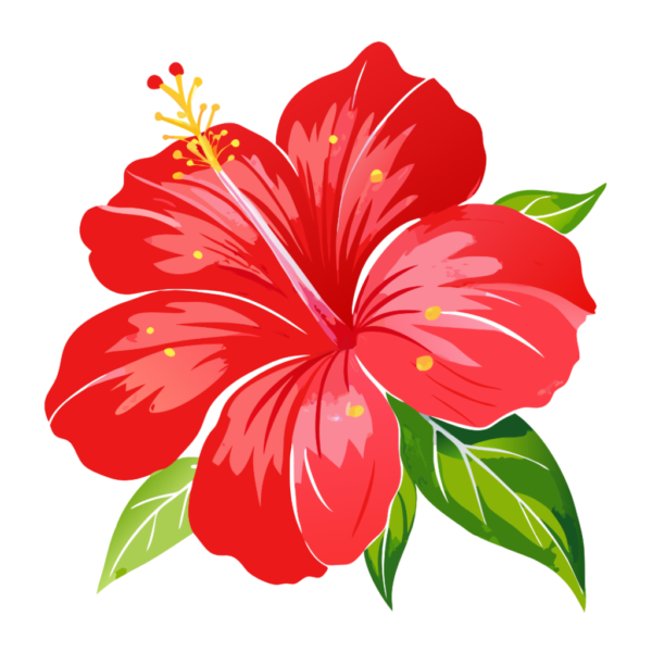 Hibiscus Flower with Leaf Clipart