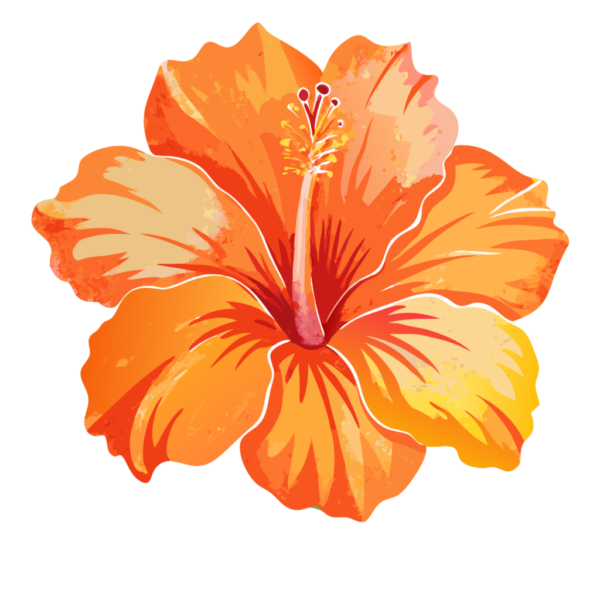 Orange Hibiscus Head Clipart