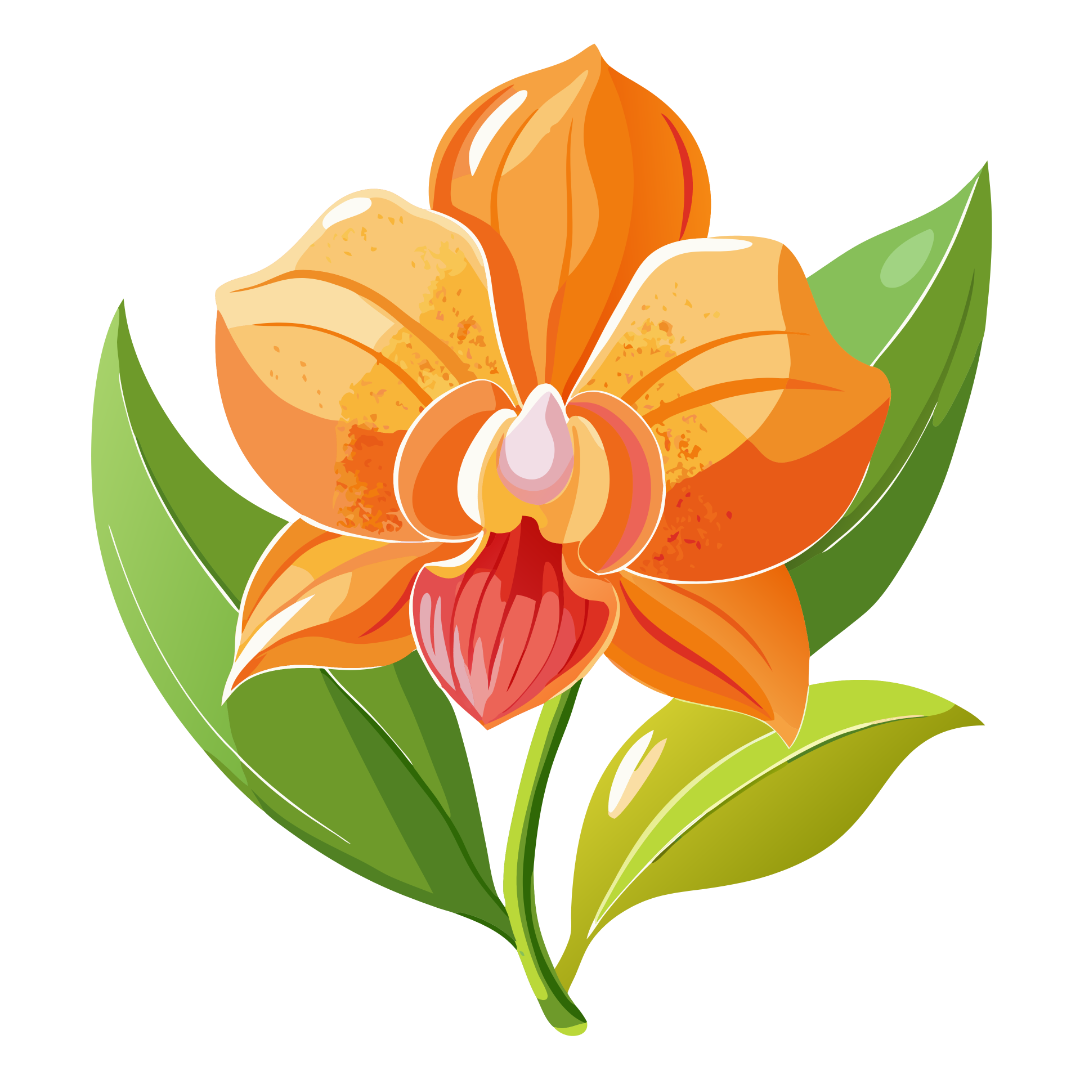 Orchid clipart Orchid clipart