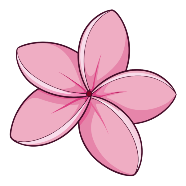 Pink Frangipani Flower