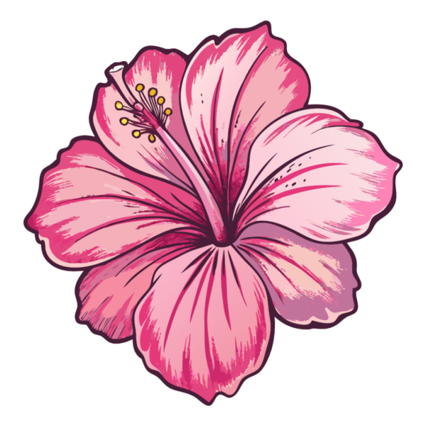 Pink Hawaii Hibiscus Clipart