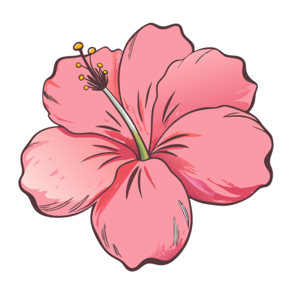 Pink Hibiscus Clipart