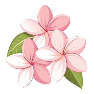 Plumeria Flowers clipart | Free Png, Svg, Vector