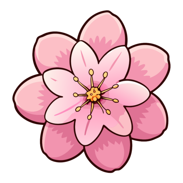 Pink Sakura Flower Clipart