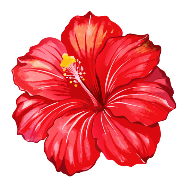 Red Hibiscus Clipart