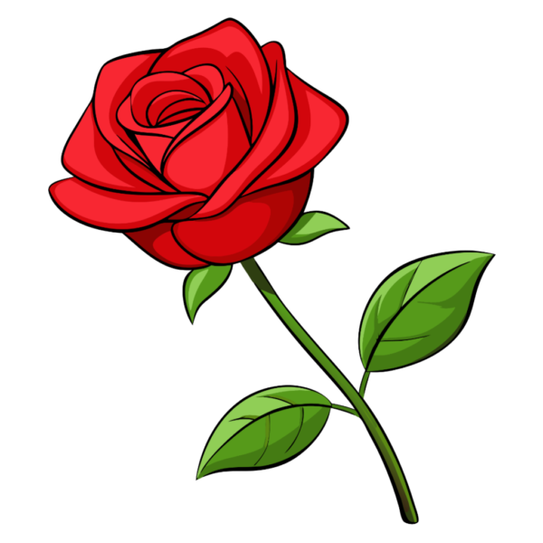 Red Rose Vector