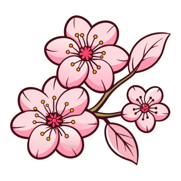 Sakura Flower Clipart