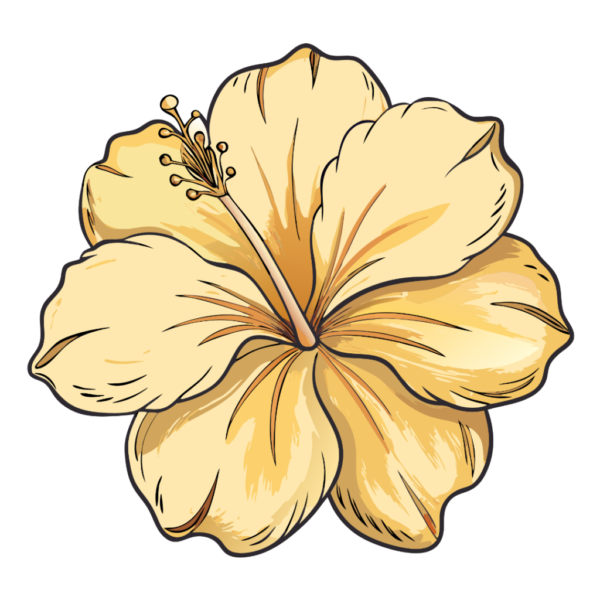 Sandal Hibiscus Head Flower