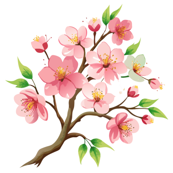 Watercolor Sakura Flowers Clipart