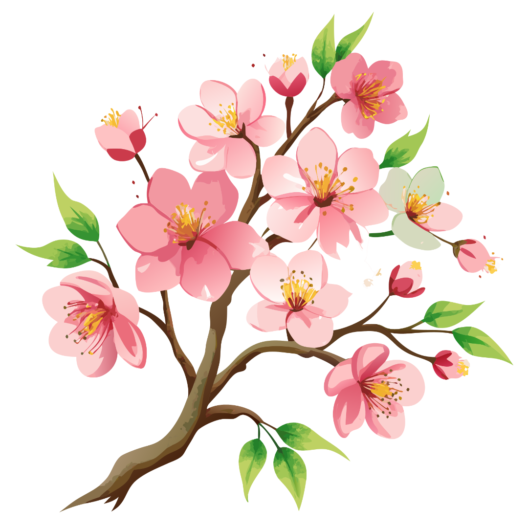 Watercolor Sakura Flowers Clipart Watercolor Sakura Flowers Clipart
