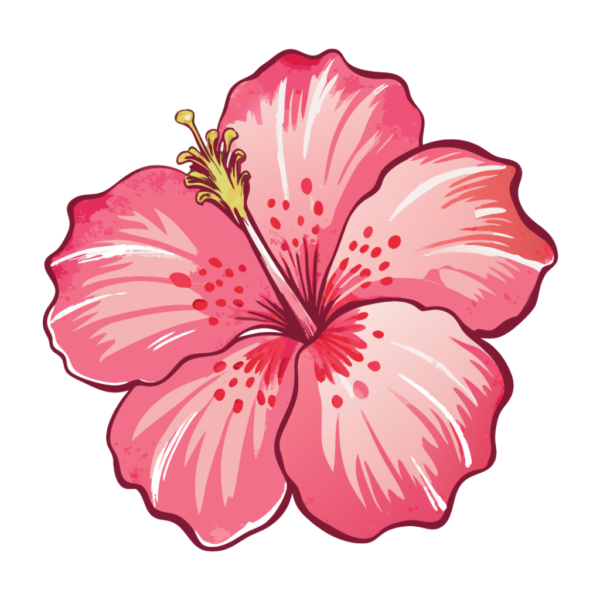 Wayercolor Pink Hibiscus Flower